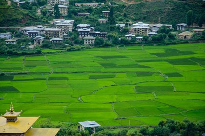 白天绿色草地鸟瞰图